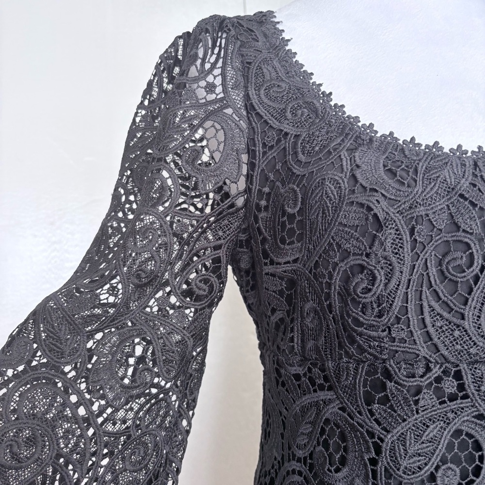 Anthropologie Maeve Embroidered Lace Mini Black Lace Whimsy goth Dress Sz 6 US - Picture 7 of 10